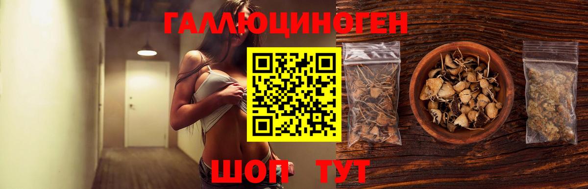 Псилоцибиновые грибы GOLDEN TEACHER  Вход с VPN  Шадринск 