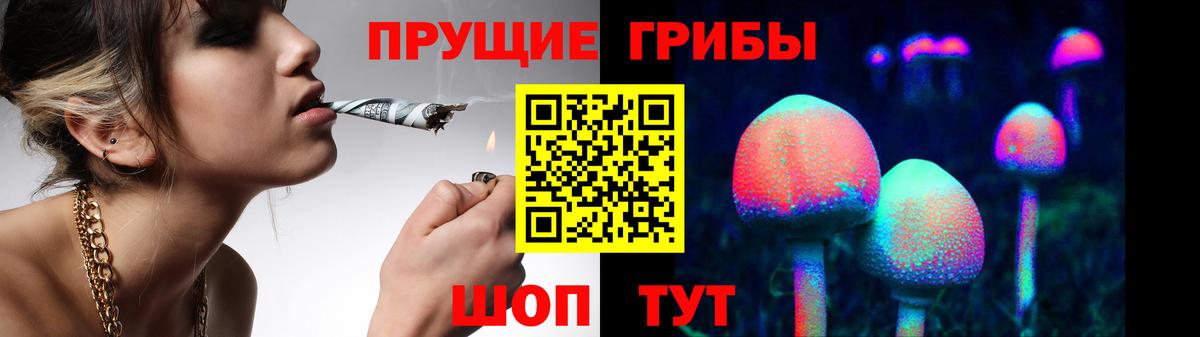 Галлюциногенные грибы Psilocybine cubensis Шадринск